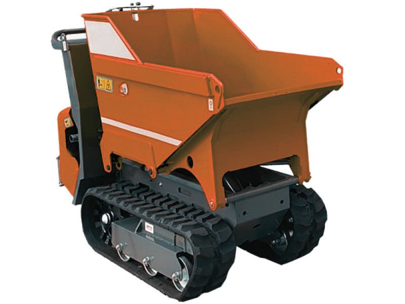 Rupsdumpers